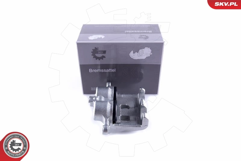 Brake Caliper